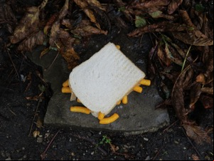 Overhead view of Wotsits sandwich alongside leaves