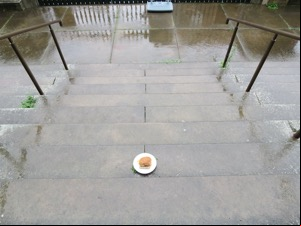 Brown Quavers roll on wet steps