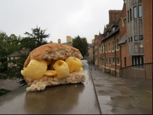 Brown Quavers roll with houses and trees in background