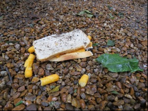 Crushed Wotsits sandwich with tread marks from shoe/tyre