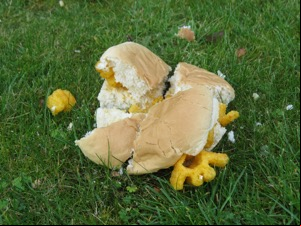Chopped up Monster Munch roll on grass